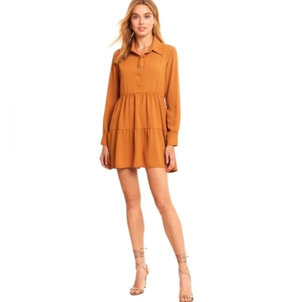 Amanda Uprichard Pierre Dress Long Sleeve in Pecan M